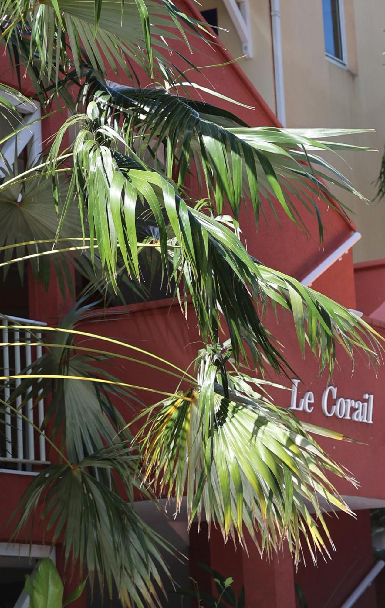 Le Coco Apartman Le Gosier  Kültér fotó